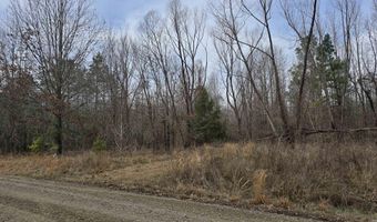 Williams Road, Bald Knob, AR 72010