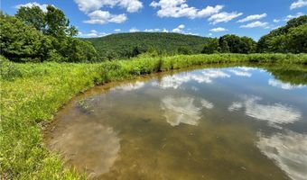 2613 Murphy Hill Rd, Andes, NY 13731