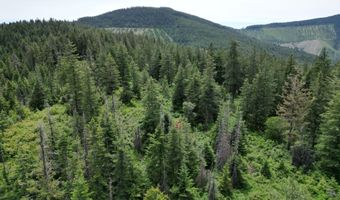 NKA INITIAL PEAK Rd, Cataldo, ID 83810
