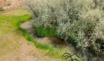 4396 Orchard Bench Rd, Basin, WY 82410
