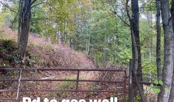 Bandy Rd / Whitaker Ridge Area, Bandy, VA 24602