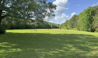 1002 OAKDALE Rd, Alpine, AL 35014