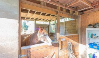 560 N LAKE PLEASANT Rd, Apopka, FL 32712