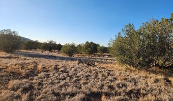 3405 W Pinto Dr, Ash Fork, AZ 86320