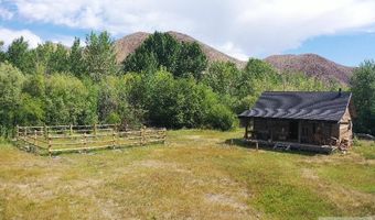 9885 Challis Creek Rd, Challis, ID 83226