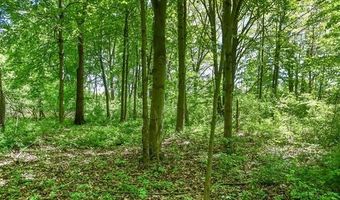 2905 N Lake Pleasant Rd, Arcadia, MI 48412