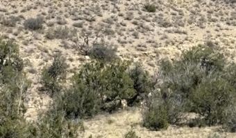 01 Wsmr P Route 7, Carrizozo, NM 88301
