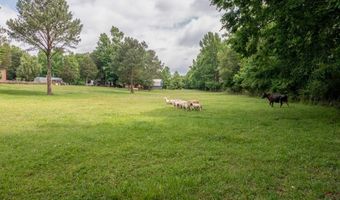 11511 Blair Rd, Apison, TN 37302