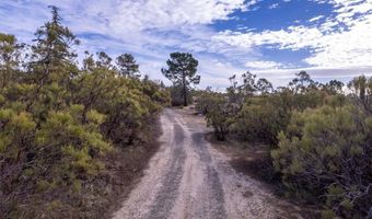 59481 Burnt Valley Rd, Anza, CA 92539