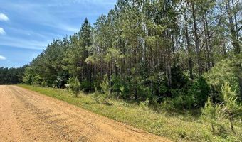 2316 Traci Loop, Bogue Chitto, MS 39629