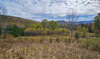 Shaver Hollow, Andes, NY 13731