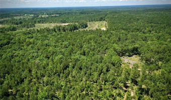 000 William Colvin Rd, Bernice, LA 71222