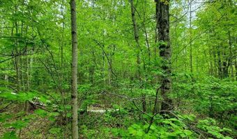 77 S Princeton Rd, Alexander, ME 04694