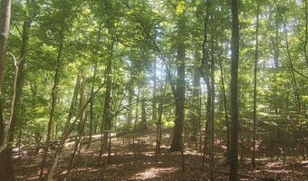 138 Stooksbury Ln, Andersonville, TN 37705