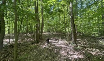 V/L 43.5A 104th Avenue, Allegan, MI 49010