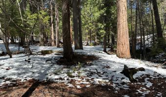 1968 Flamingo Way, Arnold, CA 95223