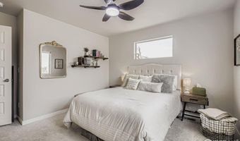 620 Apache Trl B1, Ault, CO 80610