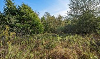 Tbd W Fm 489, Teague, TX 75860