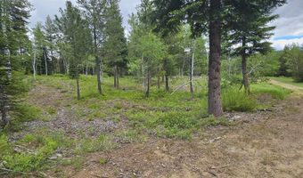 23 Sawtooth Loop, Cascade, ID 83611