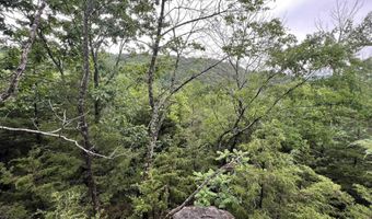 DOWNES ROAD, Bergman, AR 72615