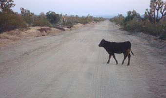 166 S Cattle Crossing Rd, Yucca, AZ 86438