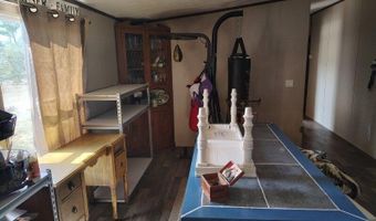 22884 NW Lake Mckinzie Blvd, Altha, FL 32421