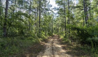 0 Hwy 14, Aliceville, AL 35442