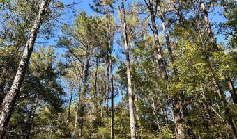 0 Lloyd Mill Rd, Andalusia, AL 36421