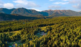 6693 River Rd, Clark Fork, ID 83811