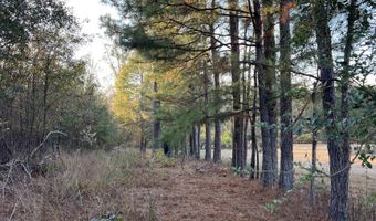 11 Acres RISER MILL ROAD Lot 11 Acres, Alpine, AL 35014