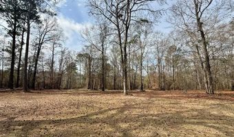 6325 State Highway 95, Abbeville, AL 36310