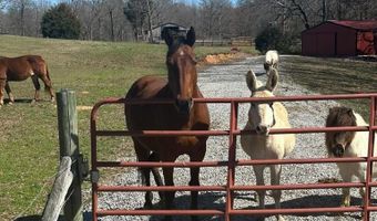 1486 Cedar Grove Rd, Big Sandy, TN 38221