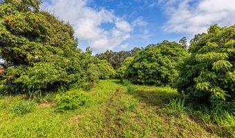29-605 CHIN CHUCK Rd, Hakalau, HI 96710