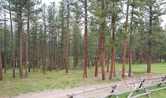28273 Blixit Creek Rd, Bonner, MT 59823