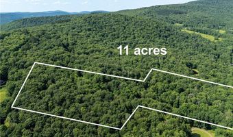 253 Davis Hollow Rd, Andes, NY 13731
