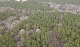 U.S. Highway 51, Bogue Chitto, MS 39629