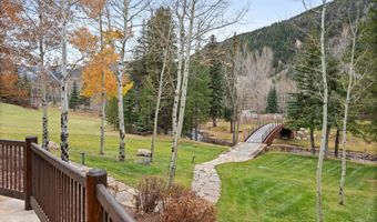100 Difficult Ln, Aspen, CO 81611