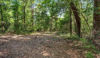 5311 Old River Rd, Baker, FL 32531