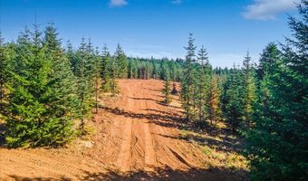 NW Lodge Rd, Banks, OR 97106