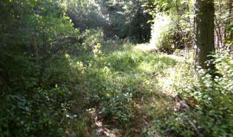 V/L 30AC Lake Winyah Road, Alpena, MI 49707