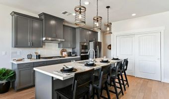 585 Sage Grouse Loop, Gardnerville, NV 89460