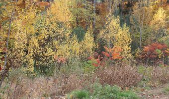 3 Beechwoods Dr Lot 3, Bartlett, NH 03845
