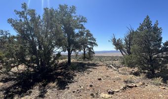 295 Old Deputy Shortline, Ash Fork, AZ 86320