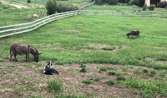 360 W Sopris Creek Rd, Basalt, CO 81621