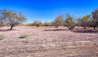 Fm 3376 lot 10, Alice, TX 78332