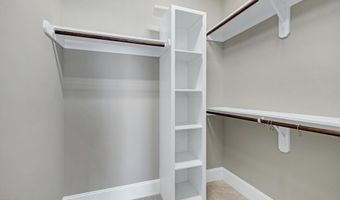 212 Mystic Pine Pl, Apex, NC 27539