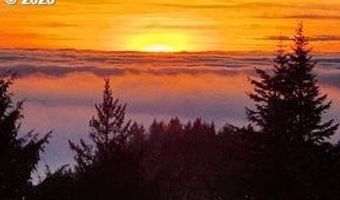 96422 ALDER RIDGE Rd, Brookings, OR 97415