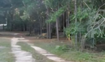 35 Simmons Dr, Camden, SC 29020