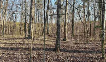 0009 SPRINGHOLLOW Rd Lot 9, Ashville, AL 35953