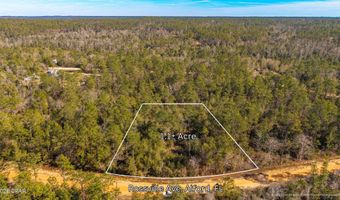 Rossville Avenue, Alford, FL 32420